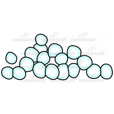 Cocci Bacteria