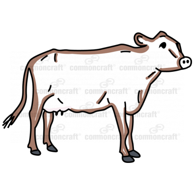 Cow 2