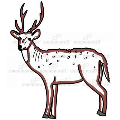 Deer 2