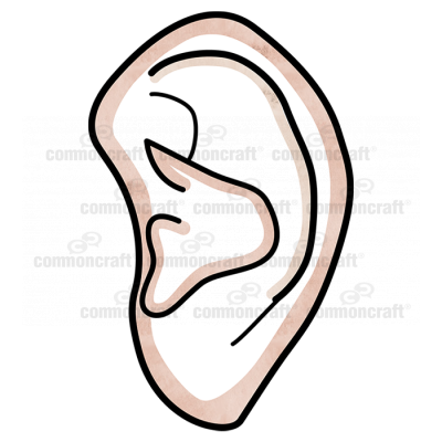 Ear Single