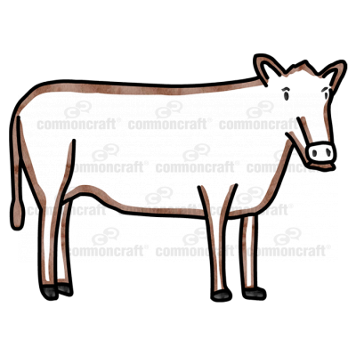 Cow