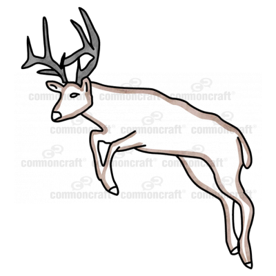 Deer Jumping