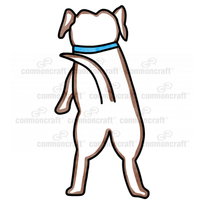 Dog 4 from the back on a walk