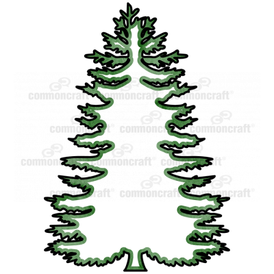 Evergreen Tree