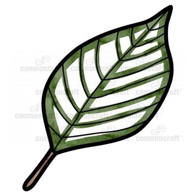 Leaf Green