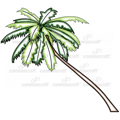 Palm Tree 1