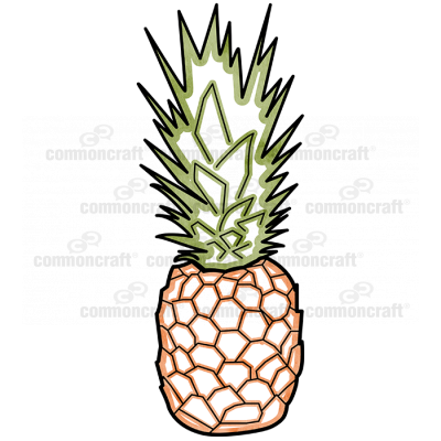 Pineapple Fruit