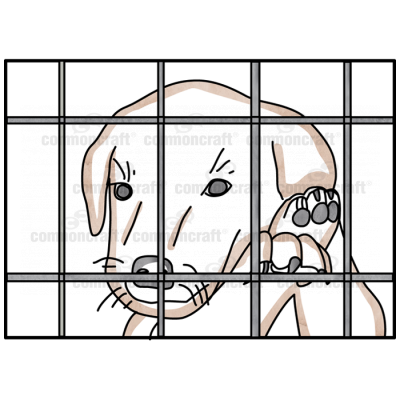 Puppy Cage